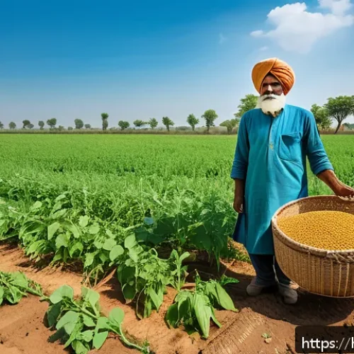 Home 17 생태적 농업 기술 - A vibrant, detailed scene of an Indian farmer’s field practicing crop rotation with diverse crops su...